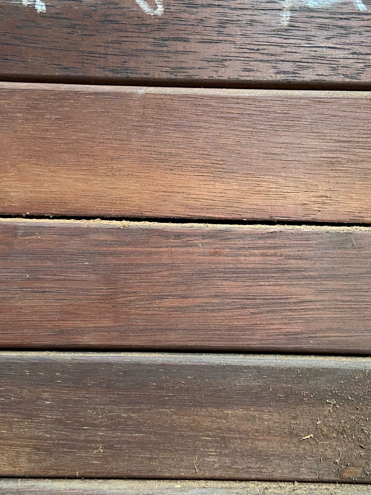 Canadian Maple texture